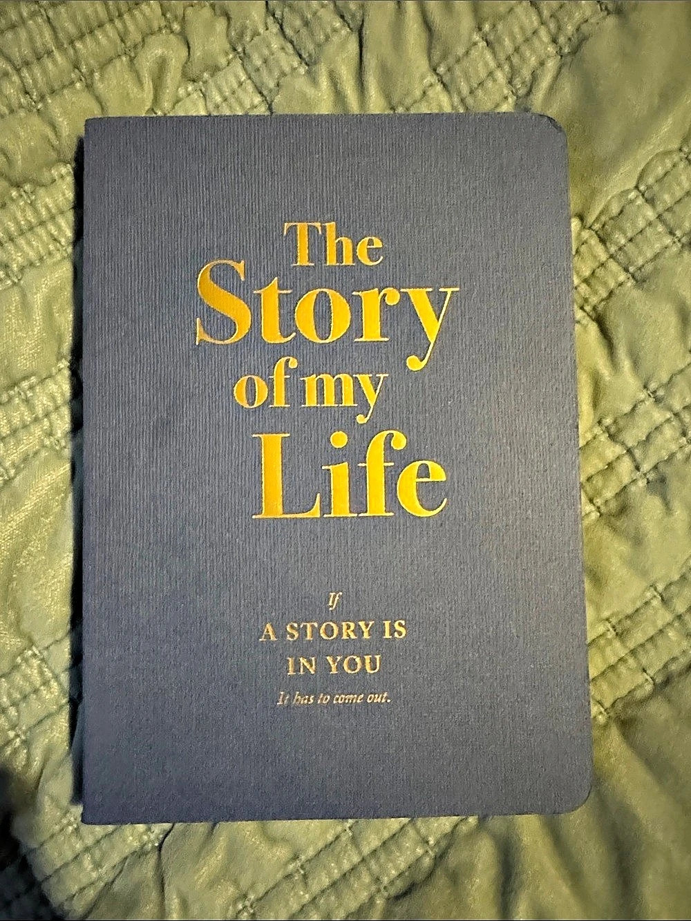 Piccadilly The Story of My Life Guided Journal Gray Like New